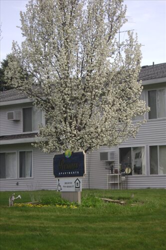 Remus Apartments exterior view and tree with flowers