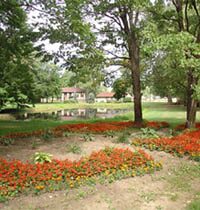 Vintage Apartments landscaping with orange flower