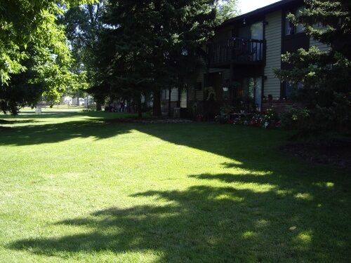 A long shot of the grass lawn outside the house
