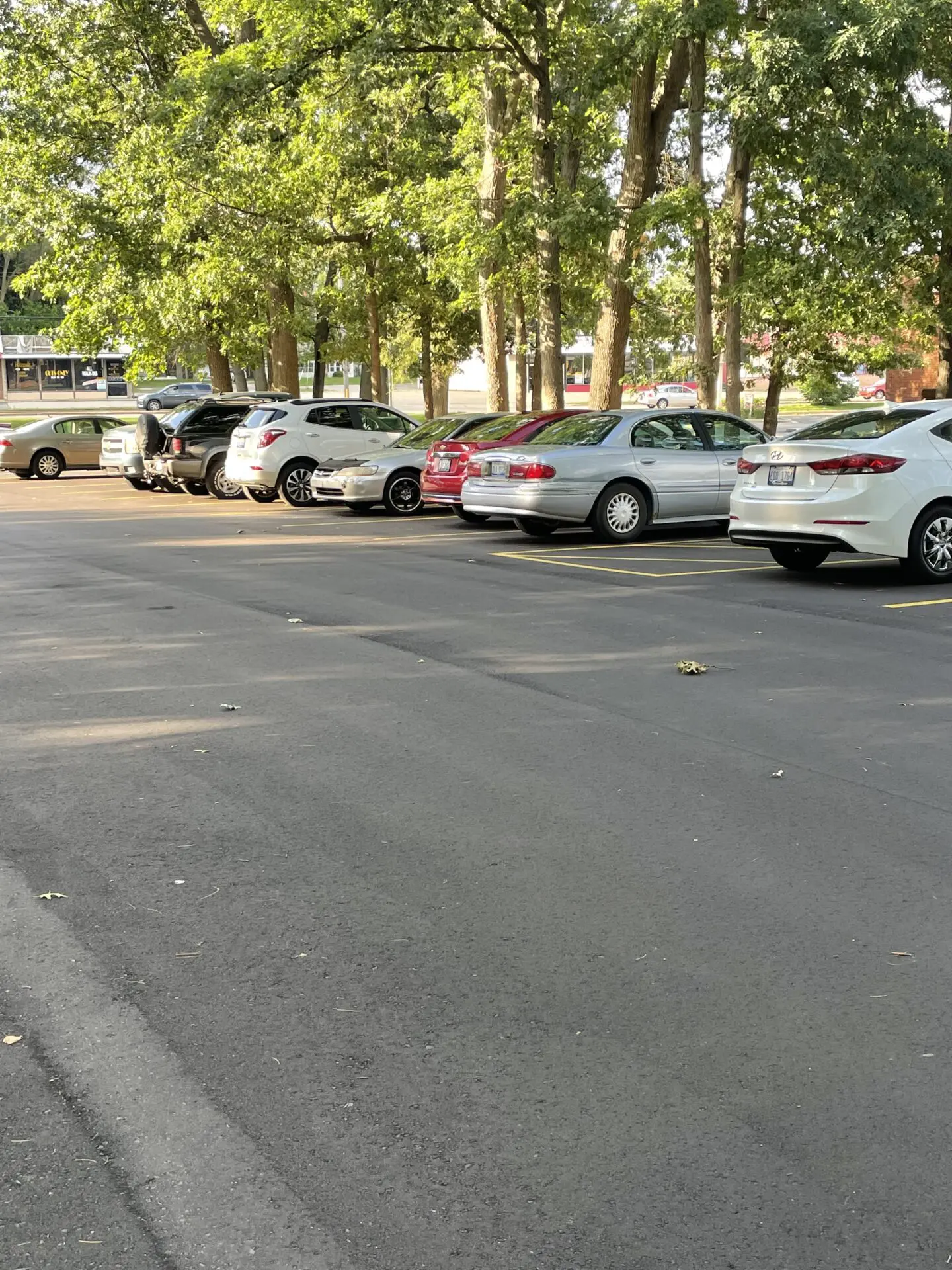 Pine Oak Apartments road and car parking