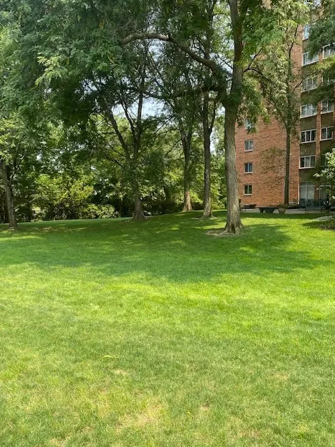 Riverview Terrace apartment green landscape