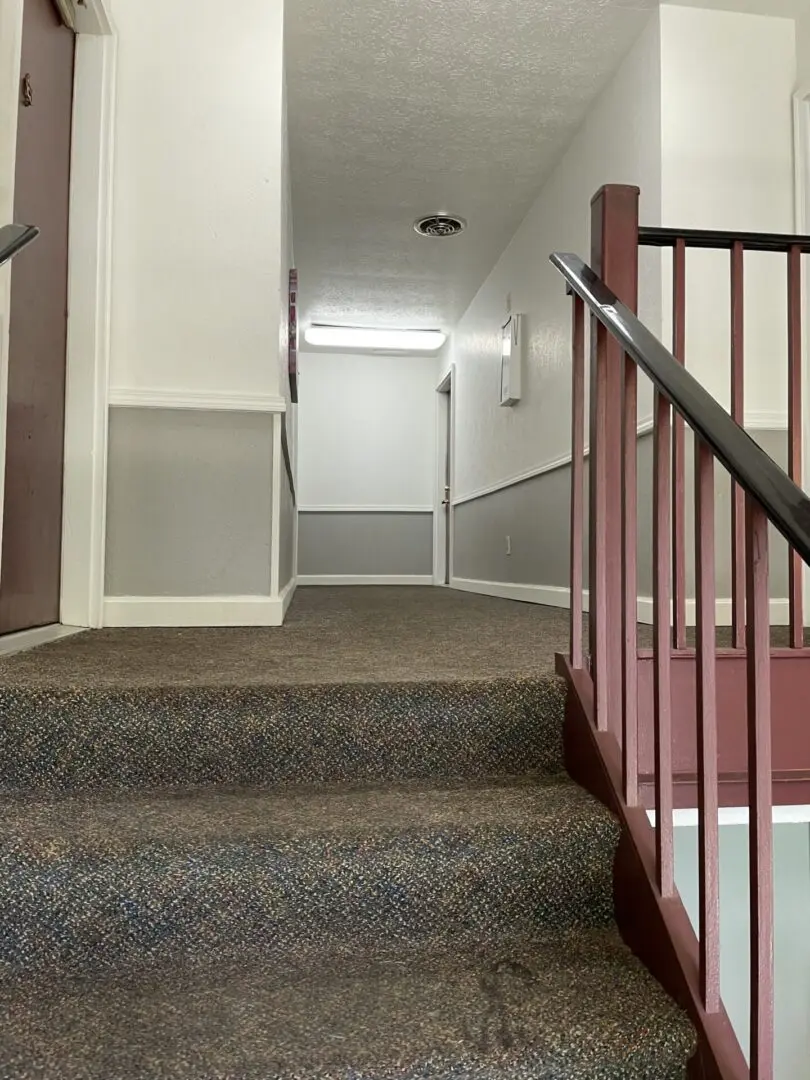Modern Carpeting Staircase Design